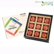 GAP인증 고급1호 사과선물세트 3KG(9과)